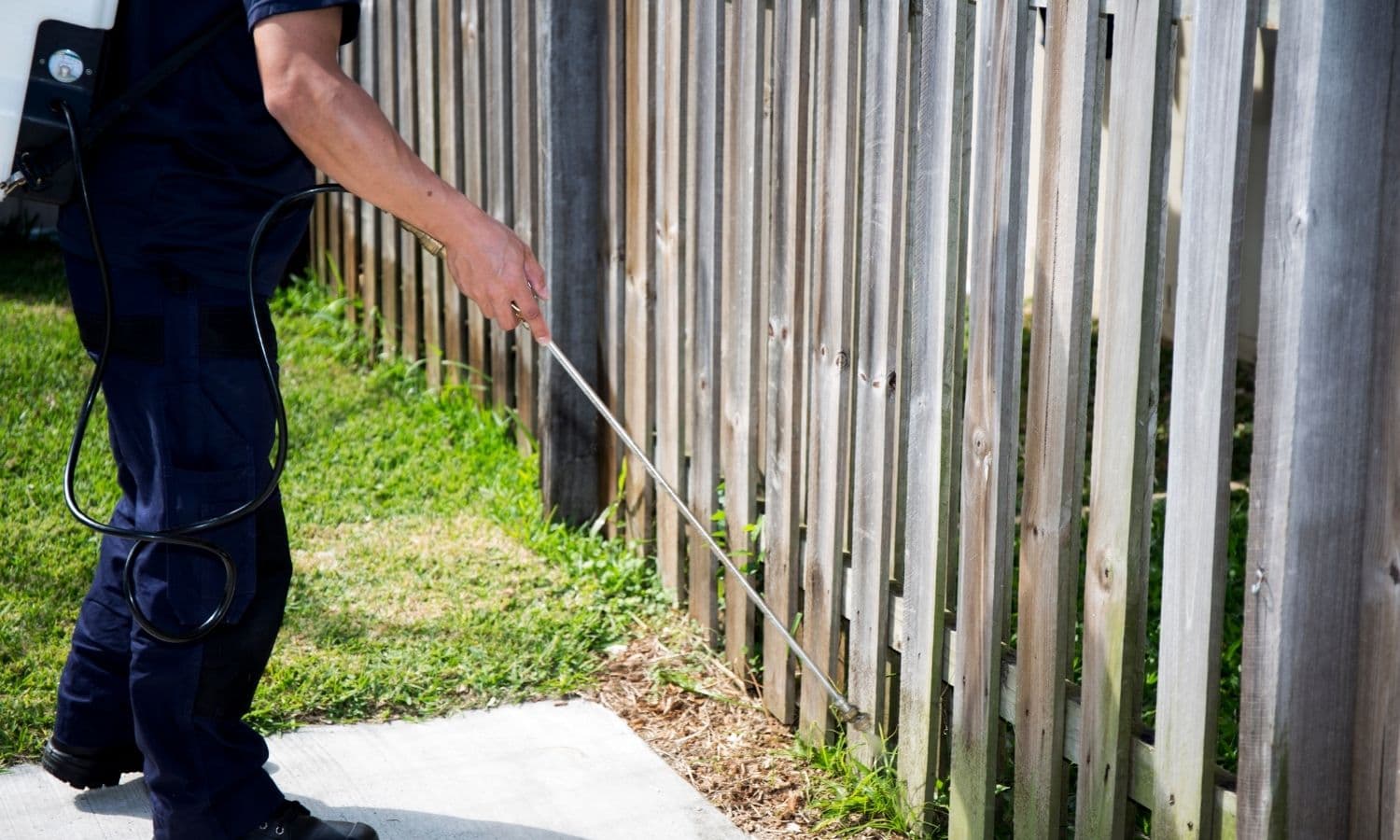 Termite Control service by A-Altair