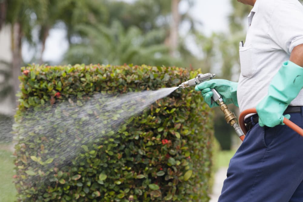 A-Altair pest control services in South Jersey