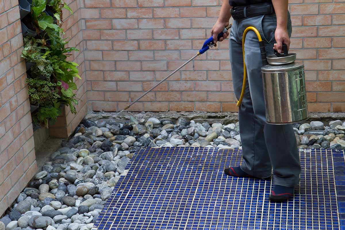 A-Altair pest control team member performing a professional inspection