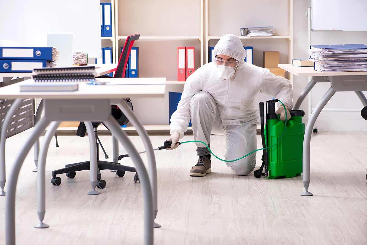 A-Altair technician performing pest control in South Jersey