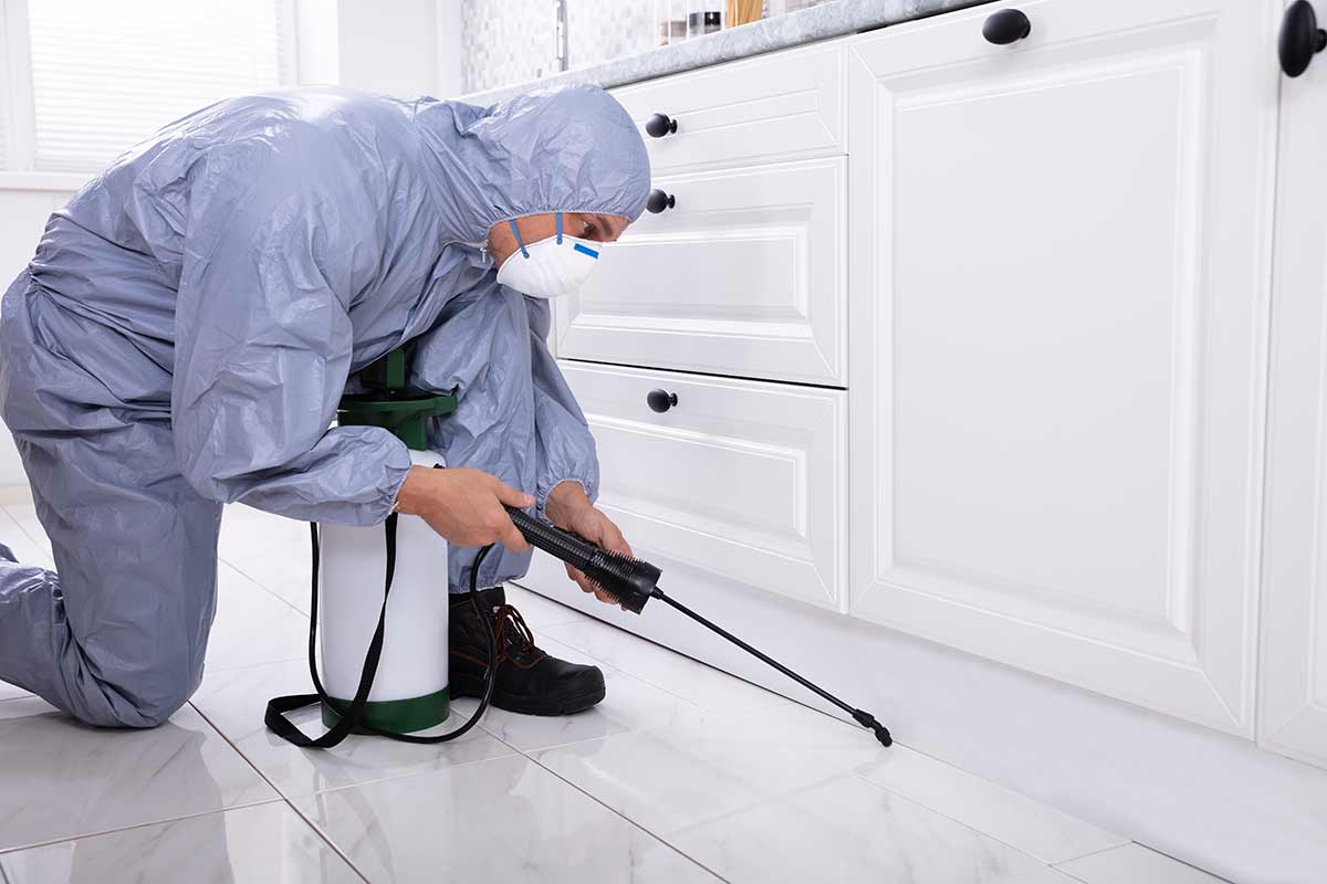 A-Altair pest control technicians serving Atlantic County