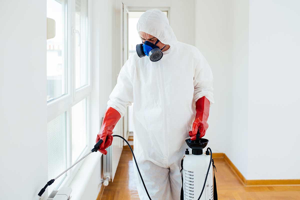 A-Altair pest control technicians in professional protective equipment