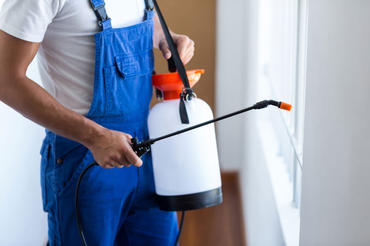 5 Essential Pest Control Tips for Every Home in Burlington County
