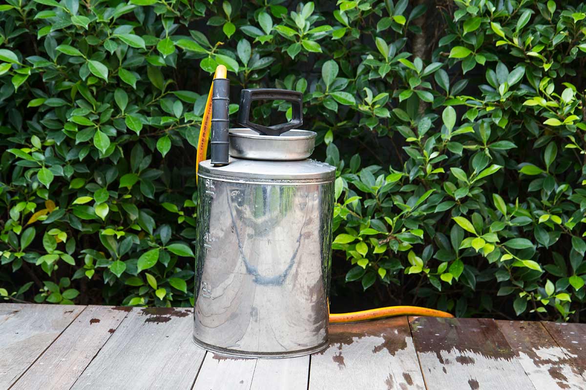 How to Keep Your Atlantic County Home Bug-Free: A Local's Guide