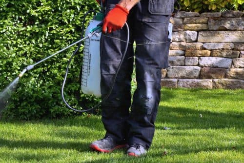 Atlantic County Pest Control: Debunking Myths and Offering Solutions